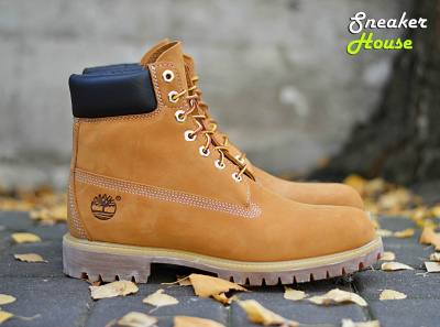 Timberland 6 IN Premium 10061 Timberland 6 IN Premium 10061