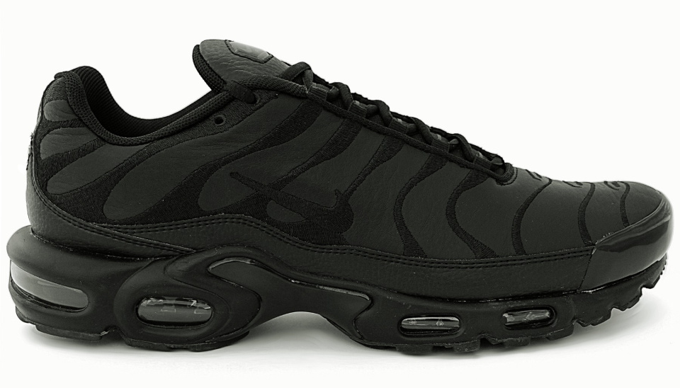 Nike Air Max Plus TN AJ2029-001 Nike Air Max Plus TN AJ2029-001