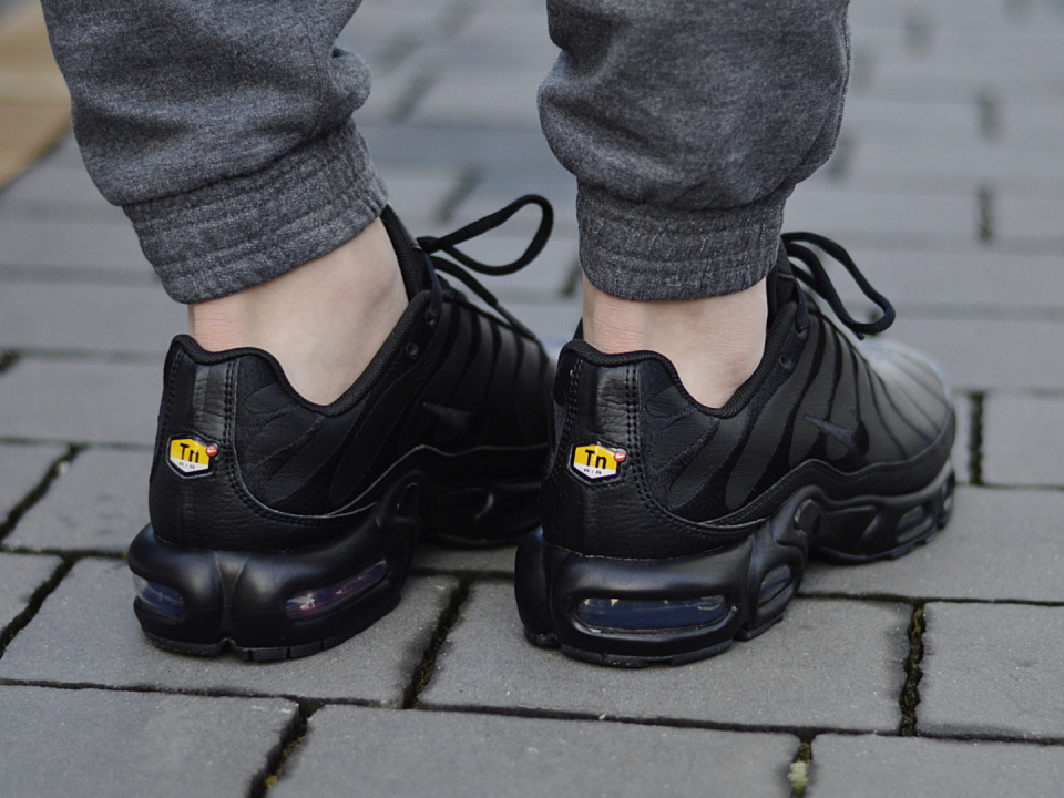 Nike Air Max Plus TN AJ2029-001 Nike Air Max Plus TN AJ2029-001