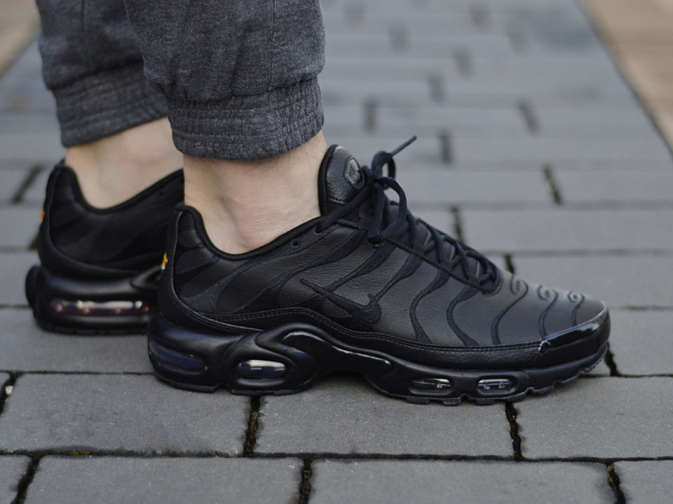 Nike Air Max Plus TN AJ2029-001 Nike Air Max Plus TN AJ2029-001